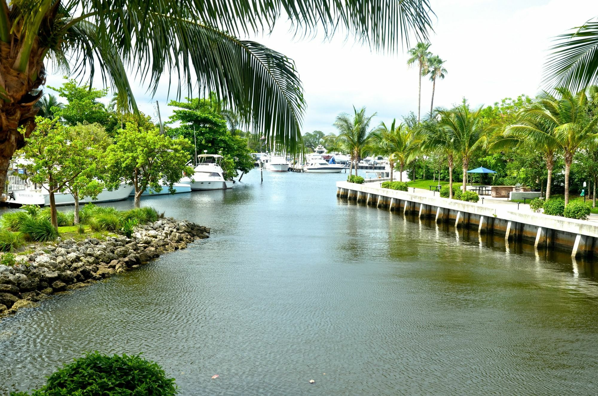 מיאמי Riviera Luxury Living At River Oaks Marina And Tower מראה חיצוני תמונה